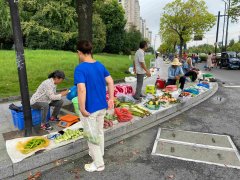 农贸市场“马路摊爆满、场内摊位空置”的行业